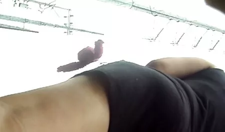 தந்திரமான திருடி டீன் பிடித்து fucked சூப்பர் ஆபாச இளம் மற்றும் துப்பறியும்